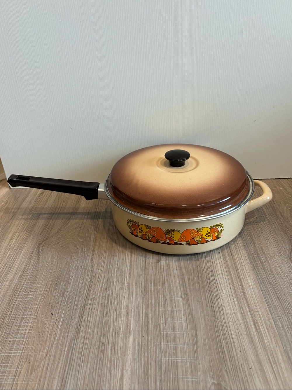 VTG Sears Merry Mushroom 10” 1 Qt Enamel Sauce Fry Pan W/ Lid MCM 70s Granny